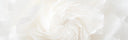 <p>Delicate Skin. Strong Care.</p>